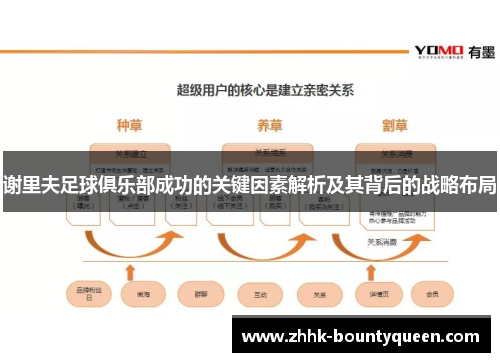 谢里夫足球俱乐部成功的关键因素解析及其背后的战略布局