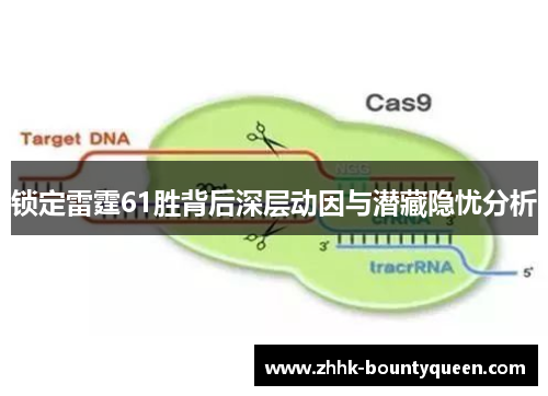 锁定雷霆61胜背后深层动因与潜藏隐忧分析