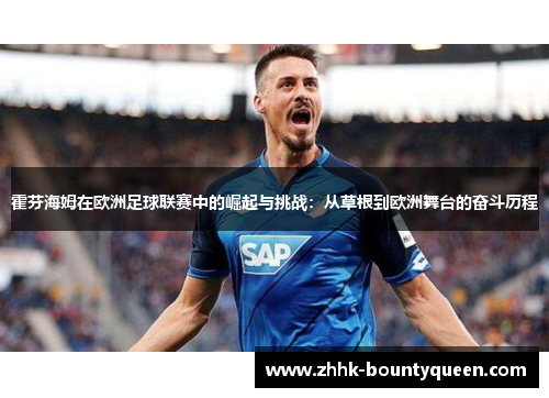 霍芬海姆在欧洲足球联赛中的崛起与挑战：从草根到欧洲舞台的奋斗历程